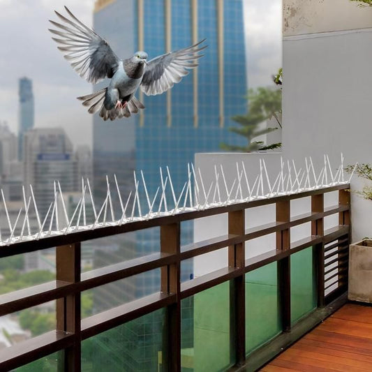 Pigeon control spikes set installed on a balcony railing to deter birds from landing