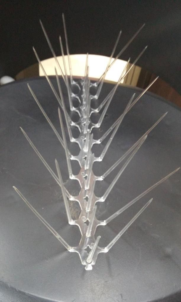 Pigeon control spikes set for effective bird deterrence on ledges and rooftops