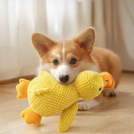 Plush Dog Toy — Soft & Cuddly Duck Toy By The Gir Farmer