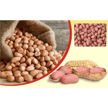 Sack of raw peanuts in natural brown color, ideal for snacking and cooking
