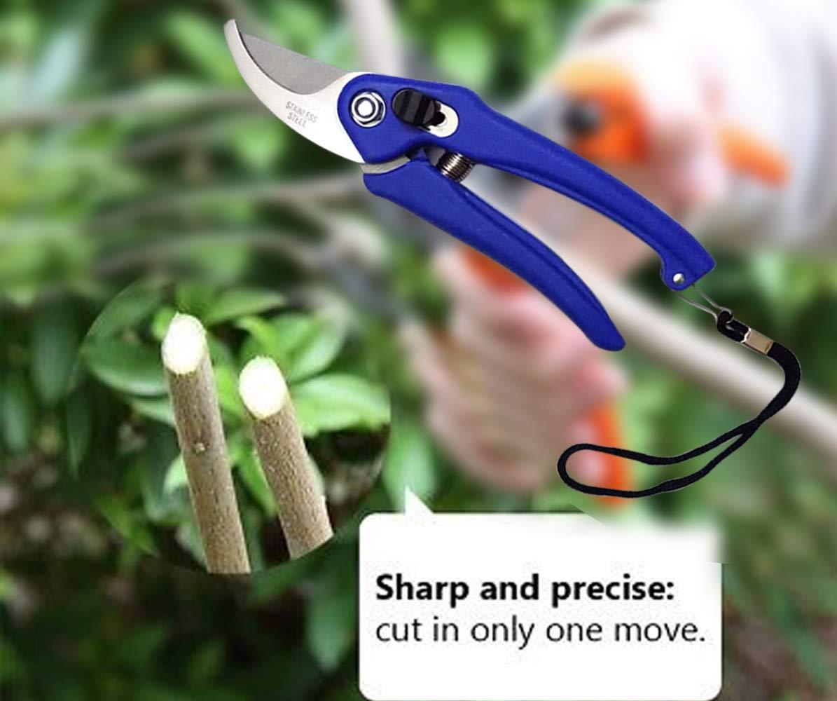 stainless steel garden scissors with ergonomic handle for sharp and precise cutting