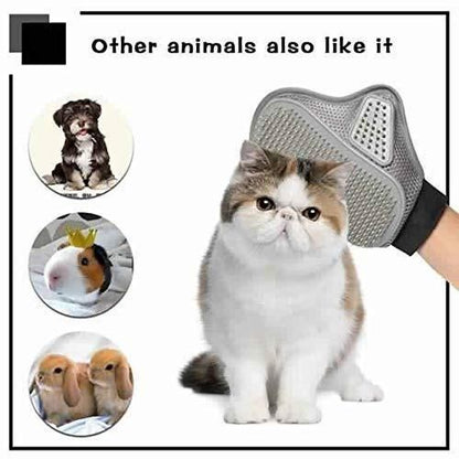 Stainless steel pet grooming glove for effective shedding control with animals enjoying grooming
