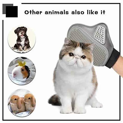 Stainless steel pet grooming glove gently removing loose fur from a cat with images of happy pets around