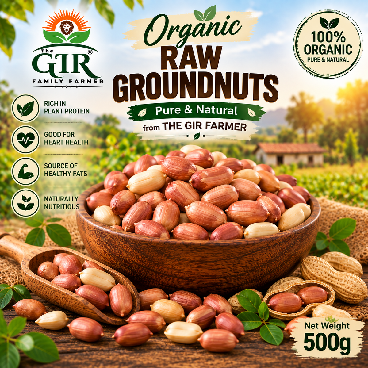 Bowl of organic raw groundnuts from THE GIR FARMER, rich in protein and healthy fats, 500g package