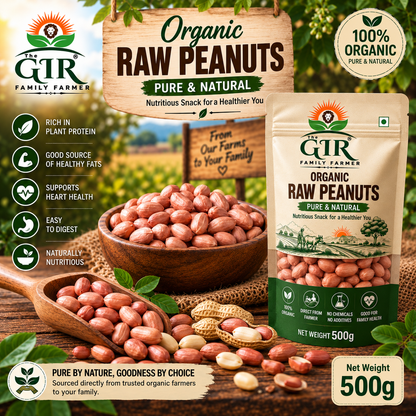 THE GIR FARMER organic raw groundnuts in a 500g bag, nutritious snack rich in plant protein and healthy fats