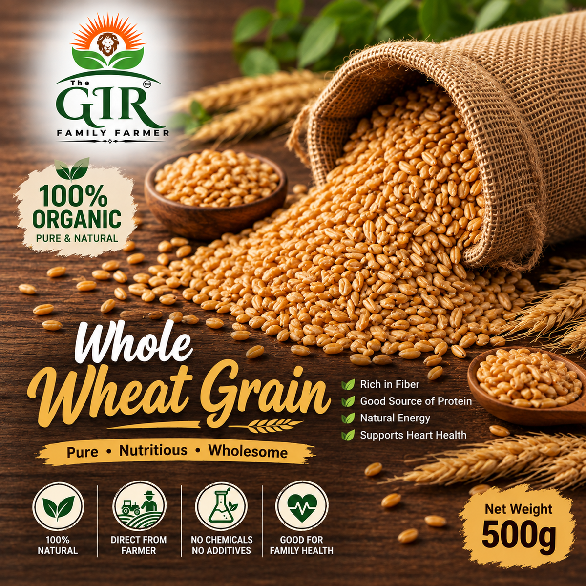 The GIR Farmer 100% Organic Whole Wheat Grain Foods in a burlap sack, rich in fiber and protein