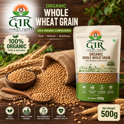 THE GIR FARMER Organic Whole Wheat Grain Foods in a 500g bag, nutritious and 100% natural for healthy cooking