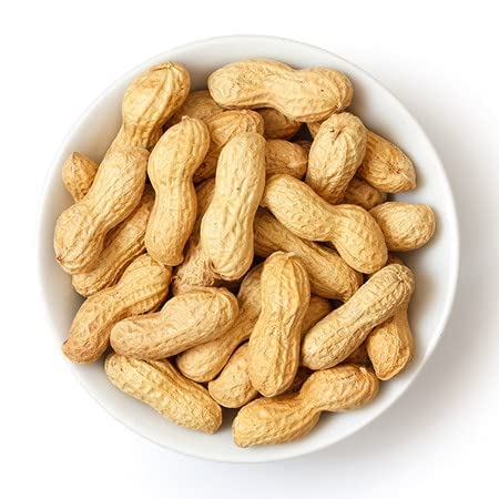 raw groundnut-THE GIR FARMER